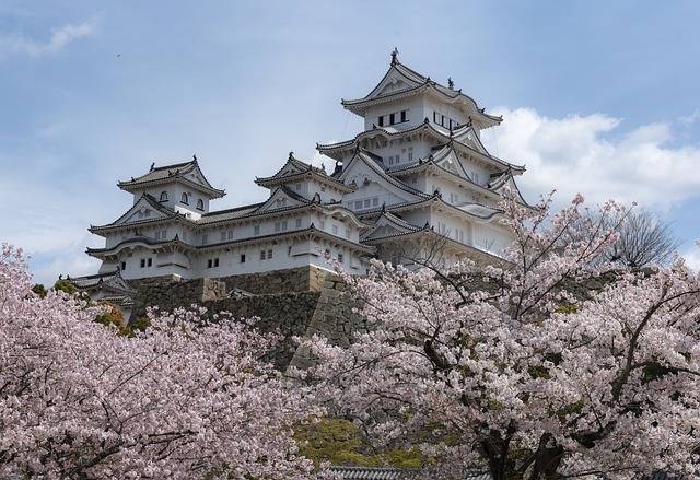 ボートから眺める桜：東京と京都の川沿いの開花